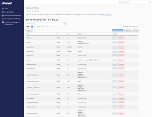 DNS Zoneneditor unter cPanel
